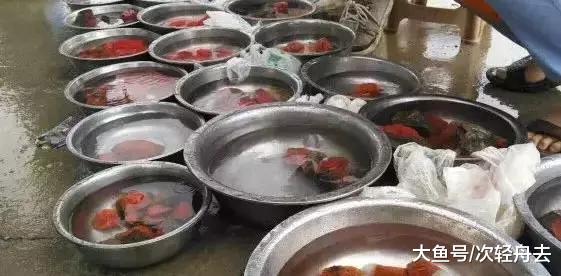 ＂南红原石泡在水里卖，到底是为了什么？＂