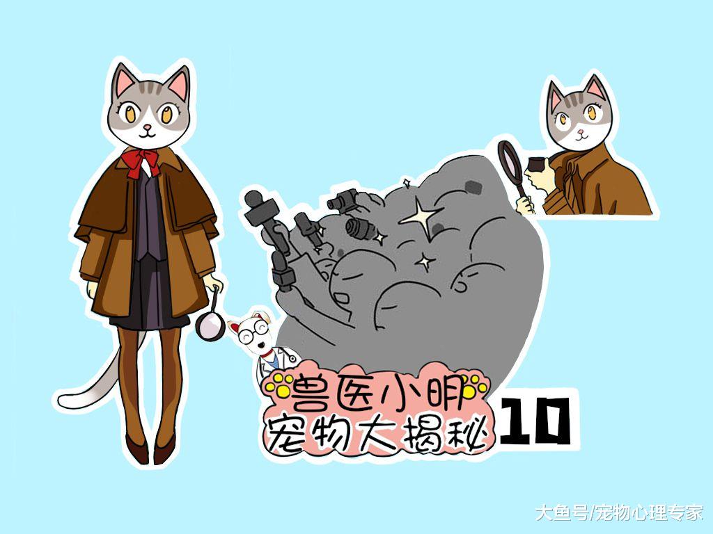 辟谣：猫咪肾衰全怪它自己不懂养生？这是你家猫主子背过最大的锅