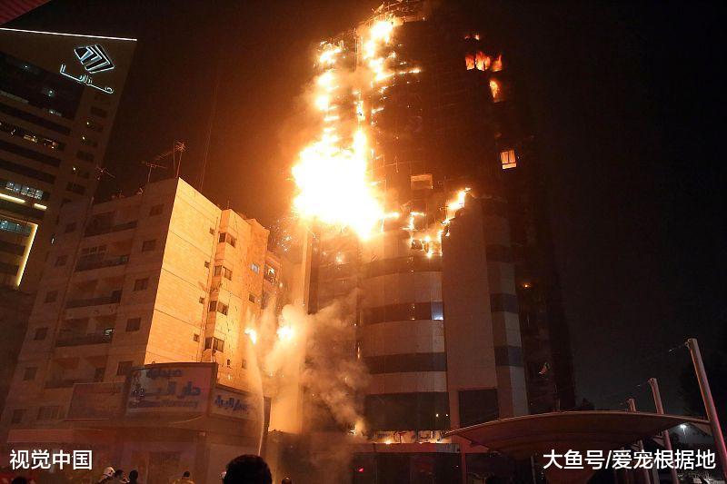 9只爱犬被突发火灾夺去生命，主人含泪发文提醒，用电安全很重要