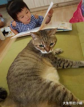 猫咪摸一下小主人，戏精女儿立刻倒在爸爸怀里求安慰，猫咪一脸懵