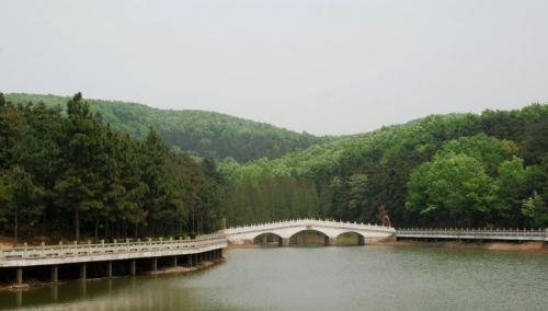 武汉市最“穷”得三个区, 第二是青山, 第三是硚口