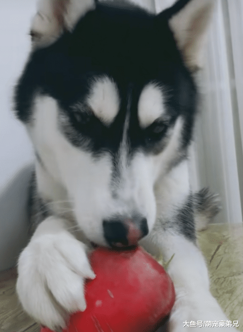 睡觉时听到异样的声音，慢慢走过去想要一查究竟，看清后笑骂