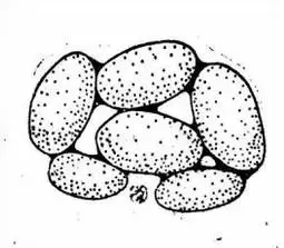 地下水基础知识，这里说的比较全面