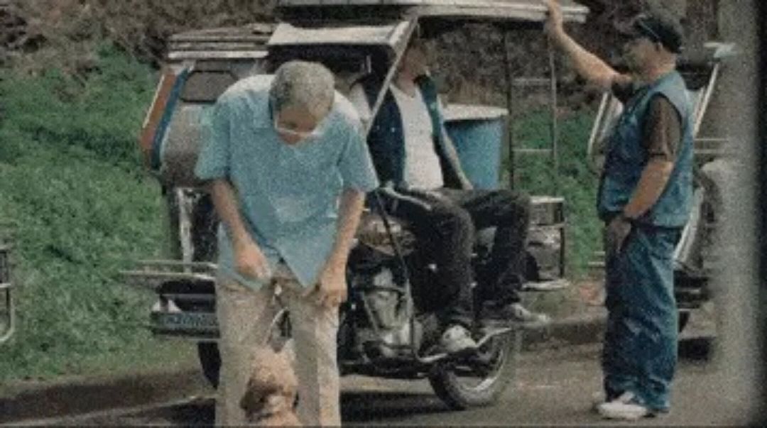 国外空巢收留流浪狗引发的深思