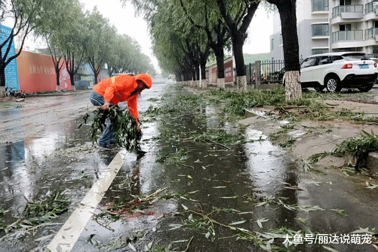 乌克兰姑娘来中国调研，呆两天不想走了：中国这高度没人能达到！