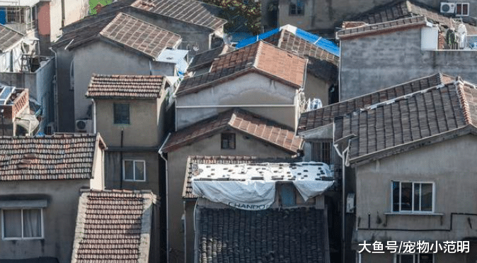 为什么中国的高楼层有限制？为什么拆迁房的“拆”字一定要用圆圈圈住呢？