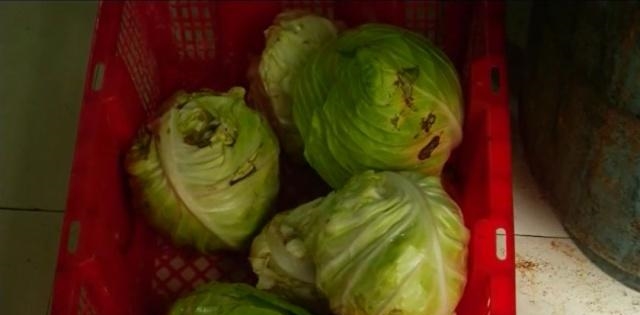 恶心！衡阳某外卖店外卖吃出蟑螂！面对质疑，店主竟当场撒泼