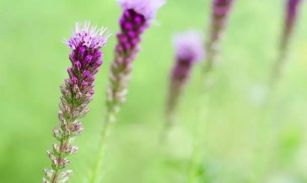 五个焦段的镜头，该怎么选择合适自己的？