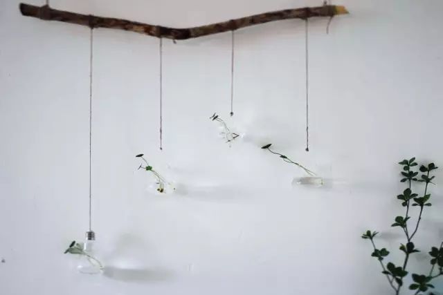 超励志的合租姑娘，爆改出租房到人生赢家的旅程！