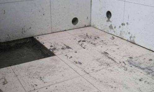 头次见有钱人这样贴卫生间瓷砖, 太聪明了, 看完回家拆了重装!