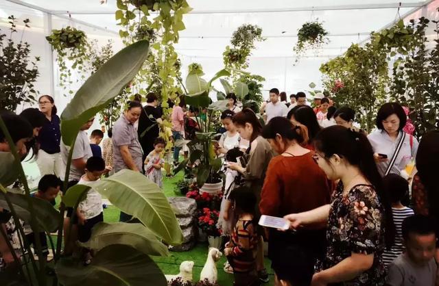 28檔大型活動撬動10億銷售額 這個商場不一般！