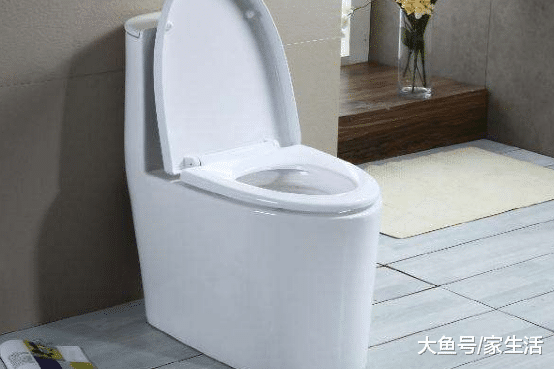 卫生间马桶和蹲便器有什么区别？好多人都不懂，装完才懊悔