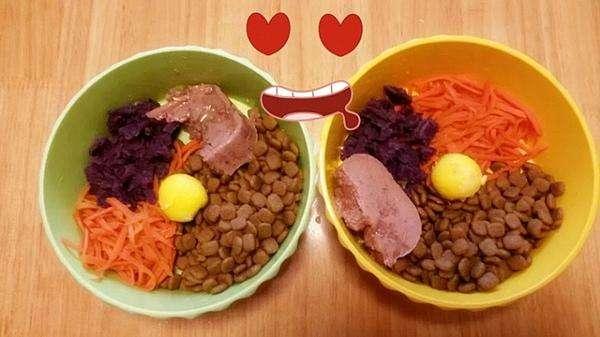 盘点狗狗喜欢主人对它做的6件事，这些事没有狗狗能抵抗！