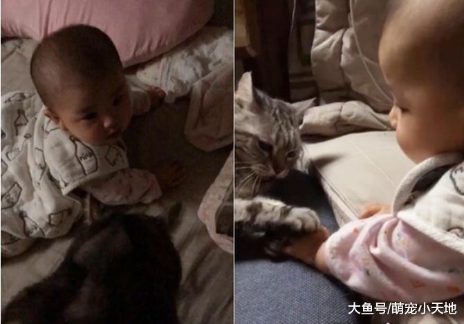 5个月宝宝哭不停, 妈妈搬出哄娃神器后秒露微笑让她自叹不如