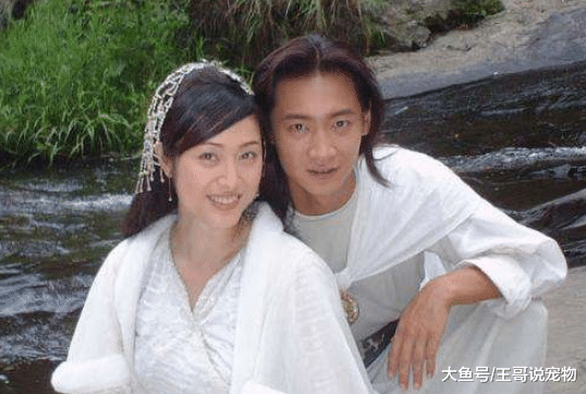 4部“不敢”翻拍的古装剧，原因是古装美女难以超越？