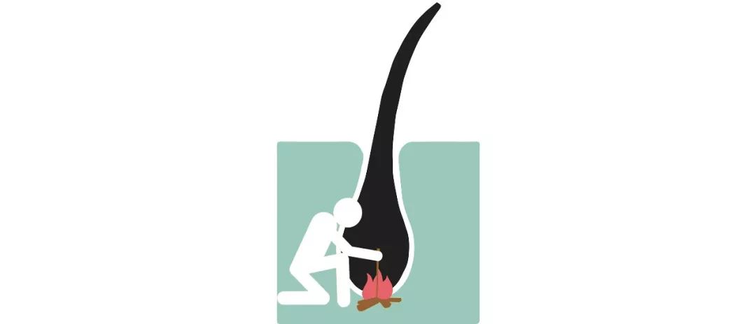 为啥猫咪每天掉毛依然毛茸茸？别酸啦，其实猫也是会秃的！