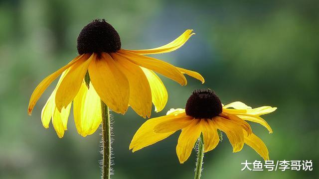 50岁以后，身边最亲的人是谁？