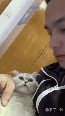 这个吻的味道有点上头