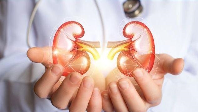 老中医：它是男人的“壮阳果”，每天吃一口，每次多坚持“20分钟“