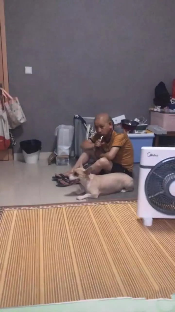 父亲刮胡子时总盯着狗看，男子总感觉到不对劲，两小时后意外发生