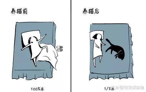 养猫前VS养猫后，要不要这么贴切