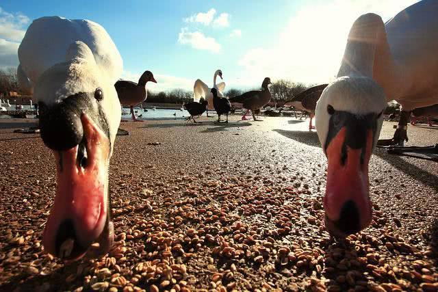 走红网络的手机摄影技巧