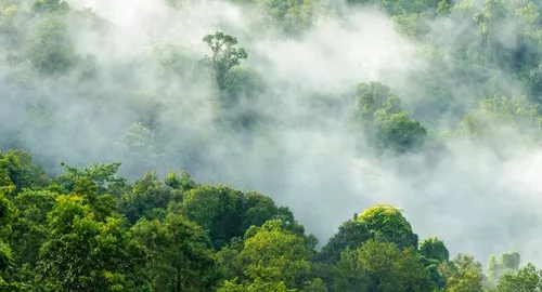 成品房+上和系+低密大盘+11333元/㎡起，永威强势霸屏