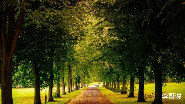 心烦的时候，可以看看这段话