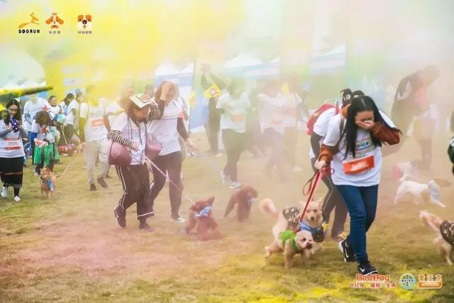 彩跑现场|作为广州人, 和狗开年彩跑好彩到爆