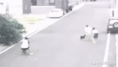 比特犬没牵绳没戴嘴套，忽然冲出狠咬大黄狗，大黄蛋蛋被咬碎，主人崩溃……