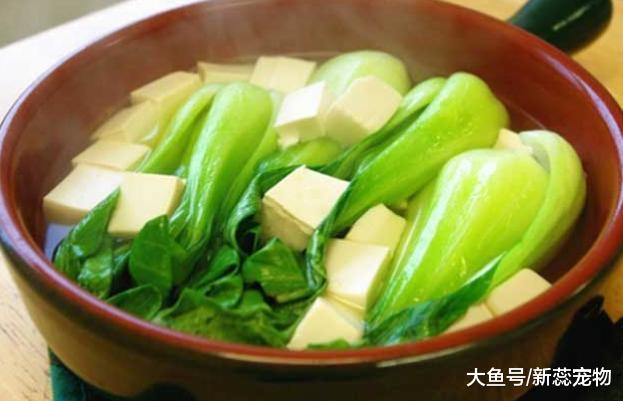 心理测试：三种青菜，你最喜欢哪一种？测你的克星在几岁出现