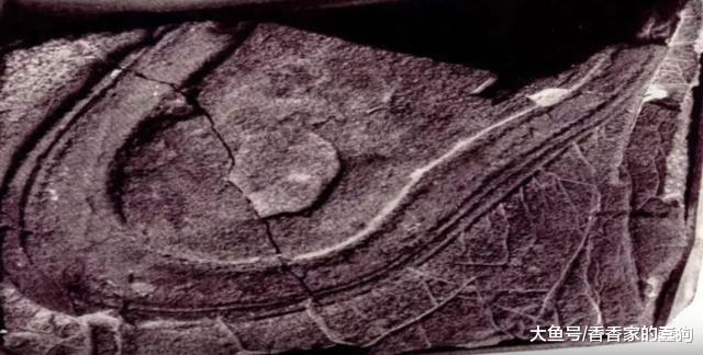 岩石上发现2.2亿年前巨大脚印，巨人族迷雾终于被科学家揭开