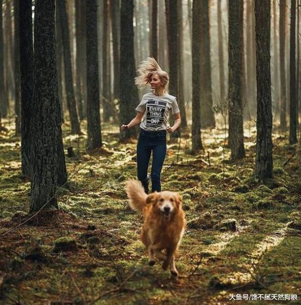 养狗的注意了，如果做不到这几点，就是“害了”它