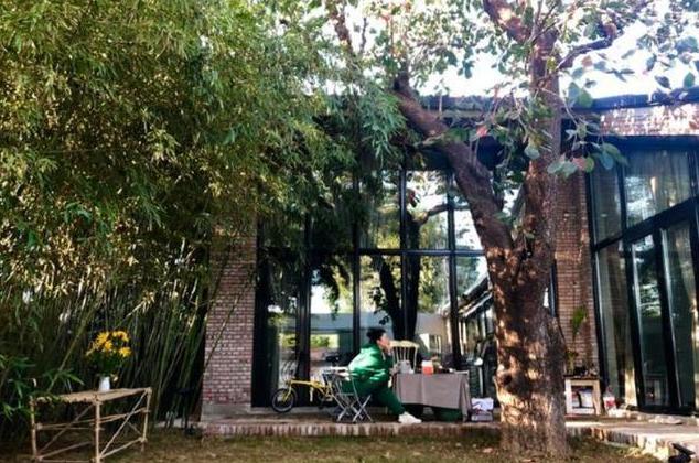 ?参观殷桃现实的豪宅，家里到处都是名贵花卉，居住环境像森林