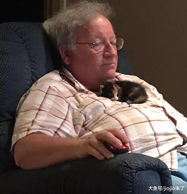 男人是如何养猫的？看看这些照片吧，最后一张简直是大型真香现场