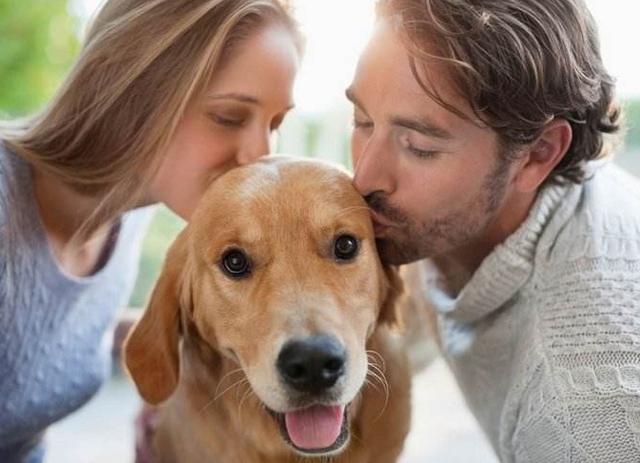 养狗会有5个“后遗症”，养狗越久会越严重，有狗的人都逃不掉