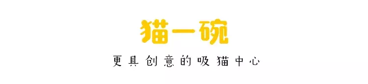 面對七姑八姨，緊張的除了你，還有貓！