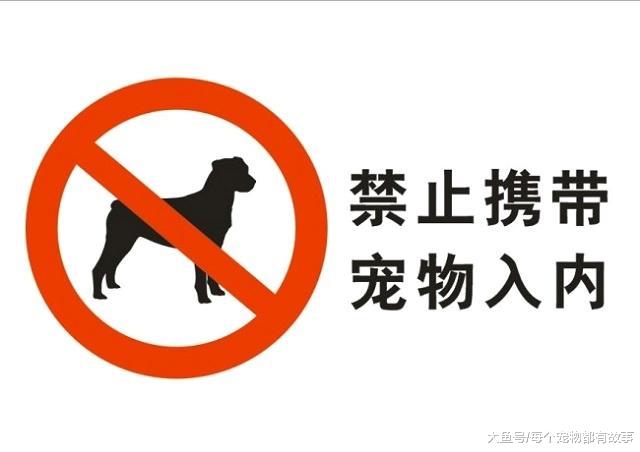 文明养狗是每位宠主的责任，为了狗子，也是为了自己