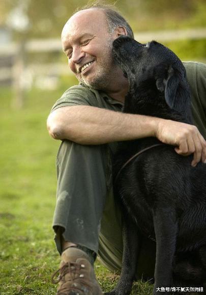 拉布拉多总是舔人, 不只是喜欢你, 只是告诉你这5件事!