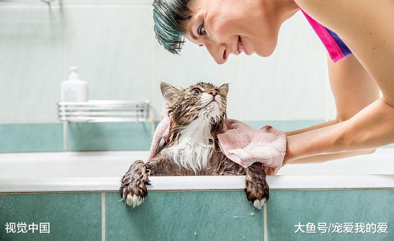 养宠物可能有几个你无法承担的坏处你知道吗？虽然有快乐，但也有伤悲。。。