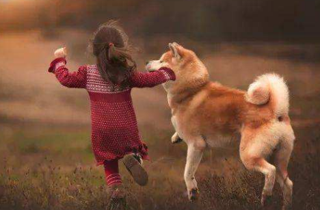 如果感到孤独，可能养个宠物会帮助到你