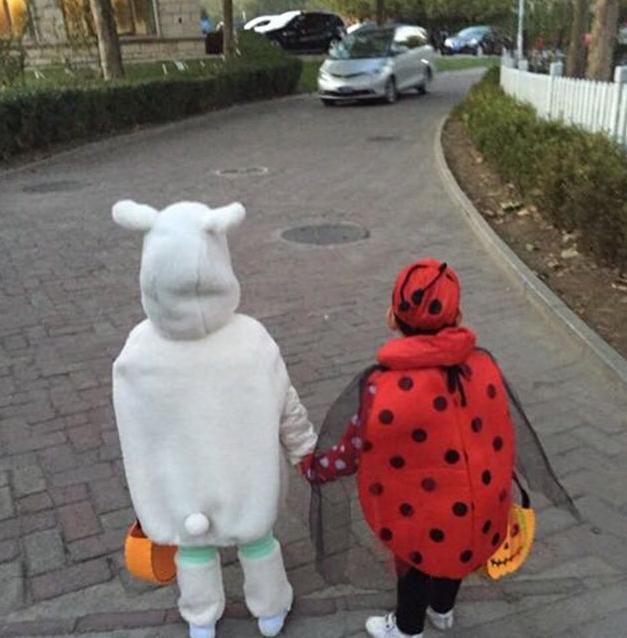 晒晒陈好现实的豪宅，如今还跟18岁小女生一样，不拍戏也很有钱