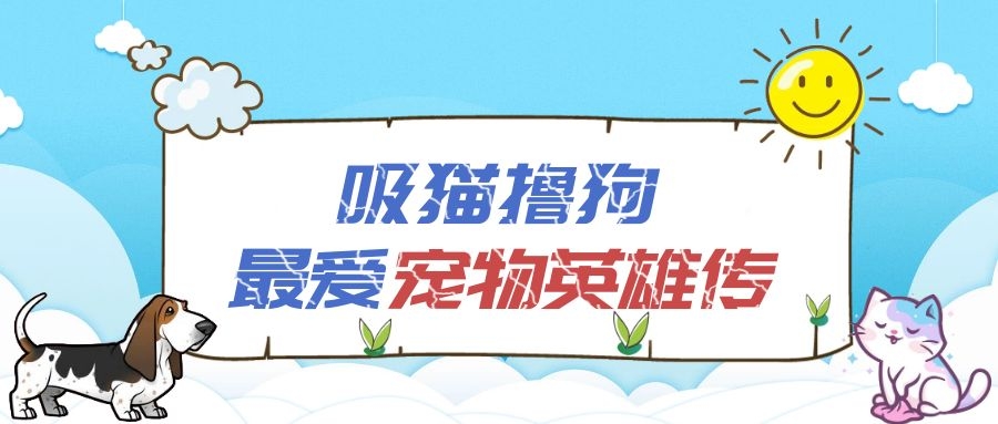 狗狗出门爱闹腾，稍不注意就会闯祸，宠主挑好绳很重要！