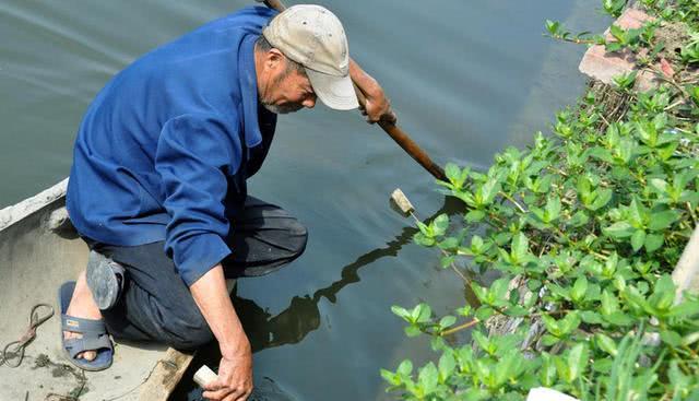 为什么河岸边石头缝里钓到的黄鳝更肥更大？老头给了我答案