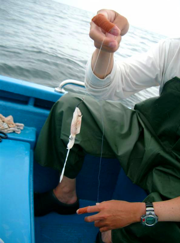 探索船钓技巧：钓大鱼的常用活饵