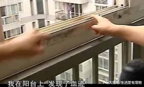 女子結婚不到半年跳樓自殺，父母說出秘密，丈夫疑似同性戀！