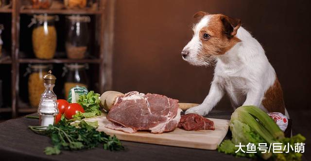 狗狗冻干食物是什么？有什么好处？狗狗爱吃吗？