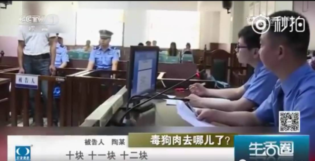 我所接触过“狗贩子”买卖肉狗的一生