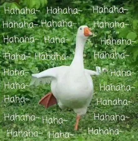 我买的比乐狗粮里面有好大一坨狗粮，怎么搞的啊，还能不能吃啊？