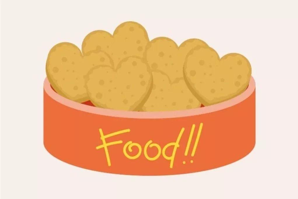 带好这10件必备品就可以和你的狗狗一起去旅行啦！